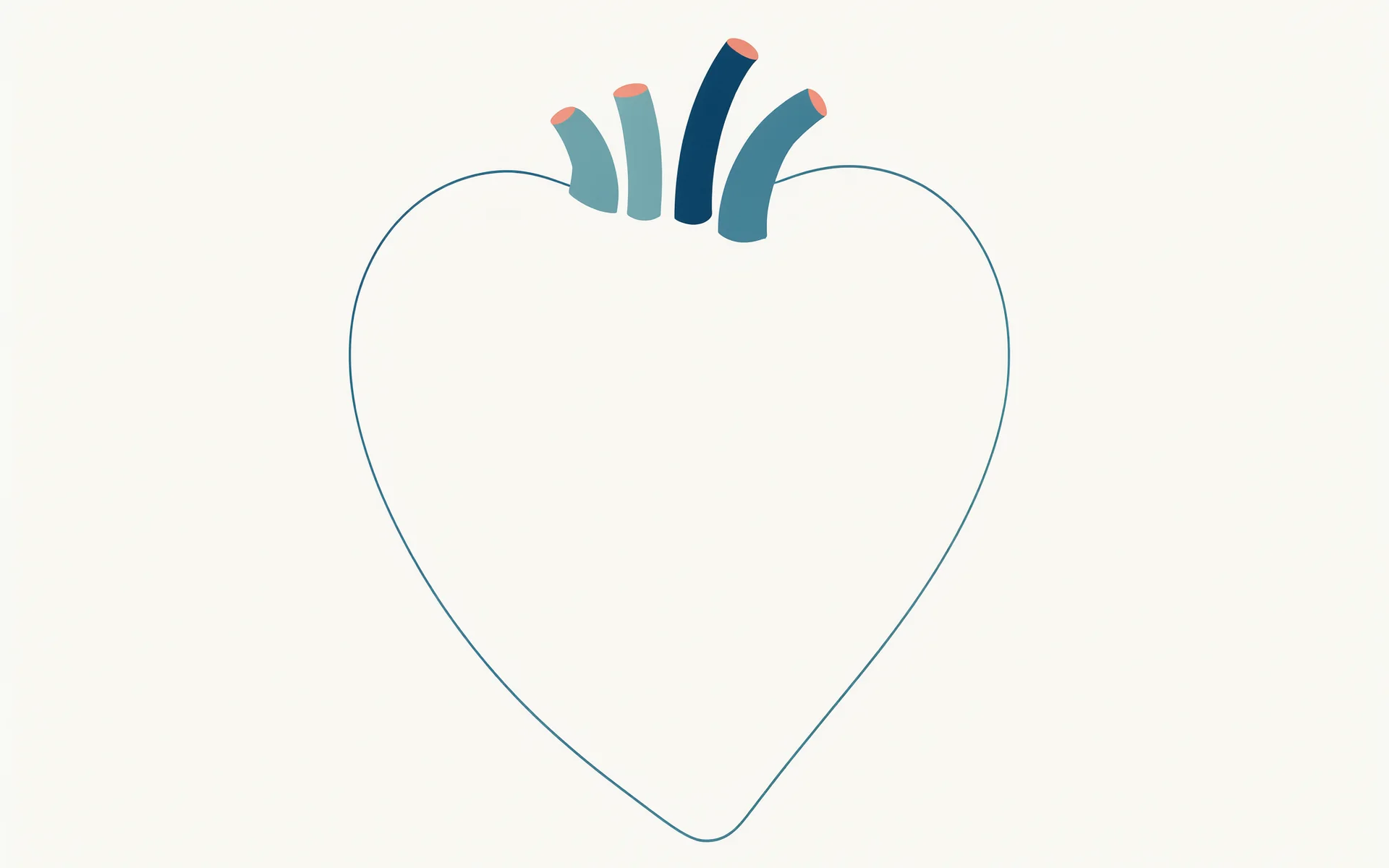 An illustration of a heart outline with three branching vessels.