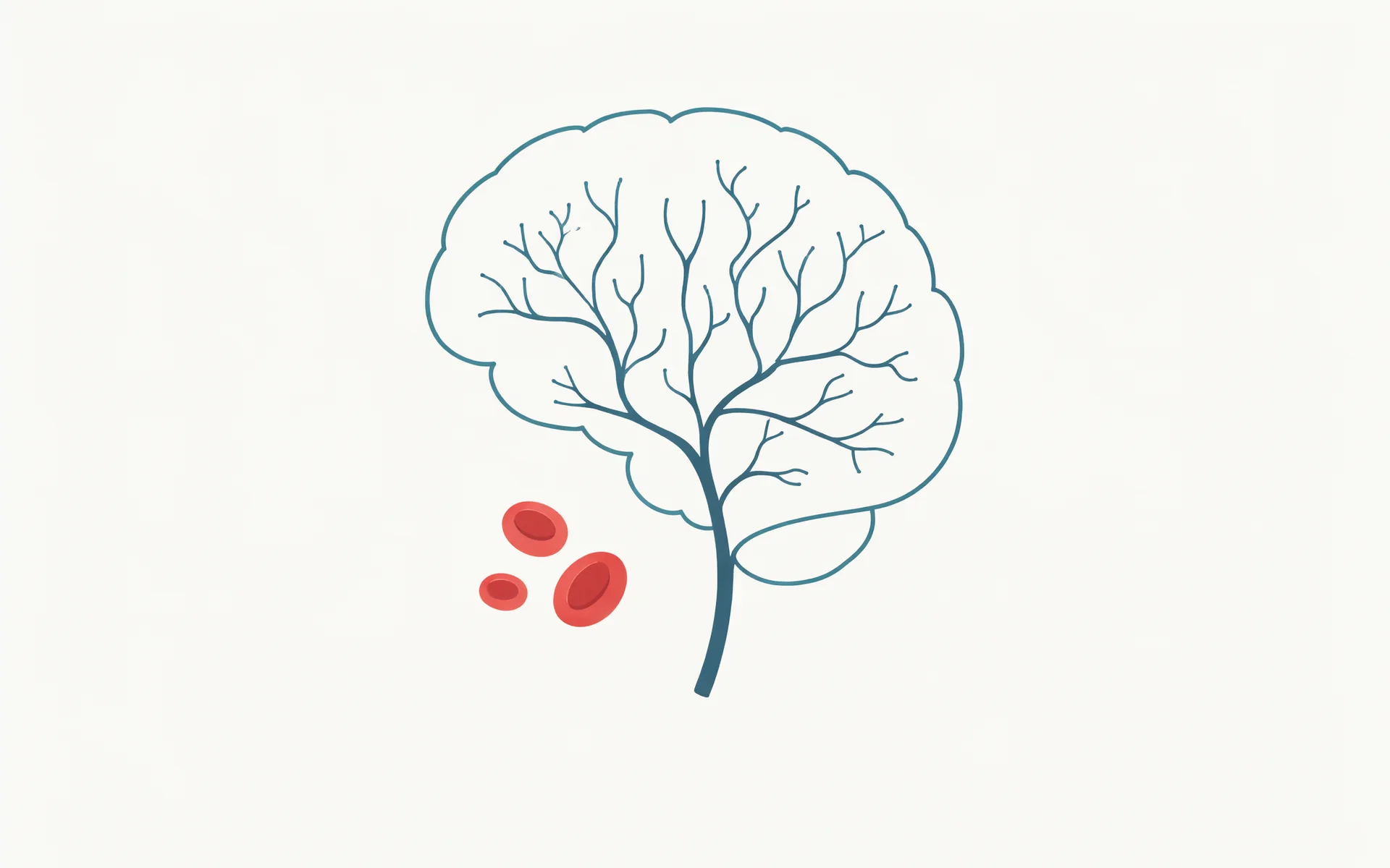 An illustration of a brain outline with neural lines and blood cells.